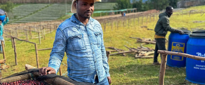 Ethiopia - Basha Bekele | White Honey Washed