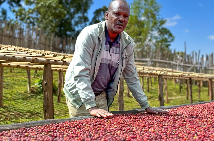 Ethiopia - Bekele Yutute | Lactic Natural