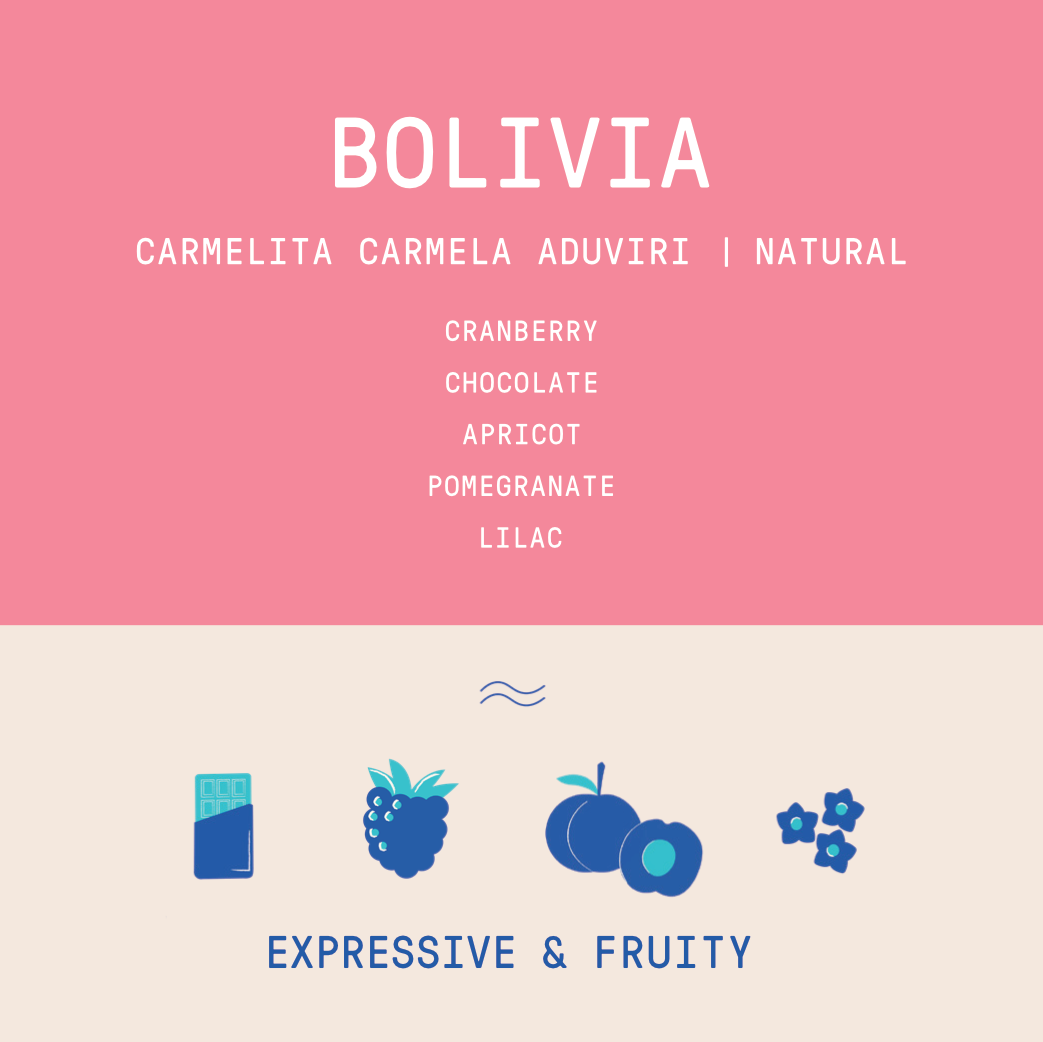 Bolivia - Carmelita Carmela Aduviri | Natural