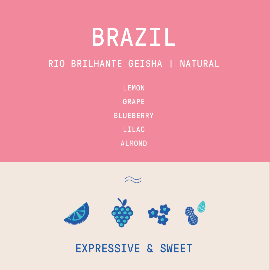 Brazil - Rio Brilhante Geisha | Natural