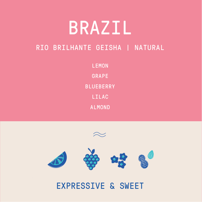 Brazil - Rio Brilhante Geisha | Natural