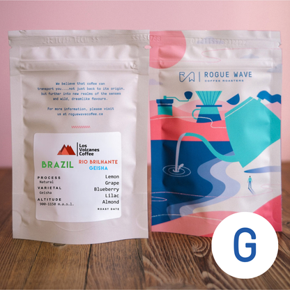 Brazil - Rio Brilhante Geisha | Natural