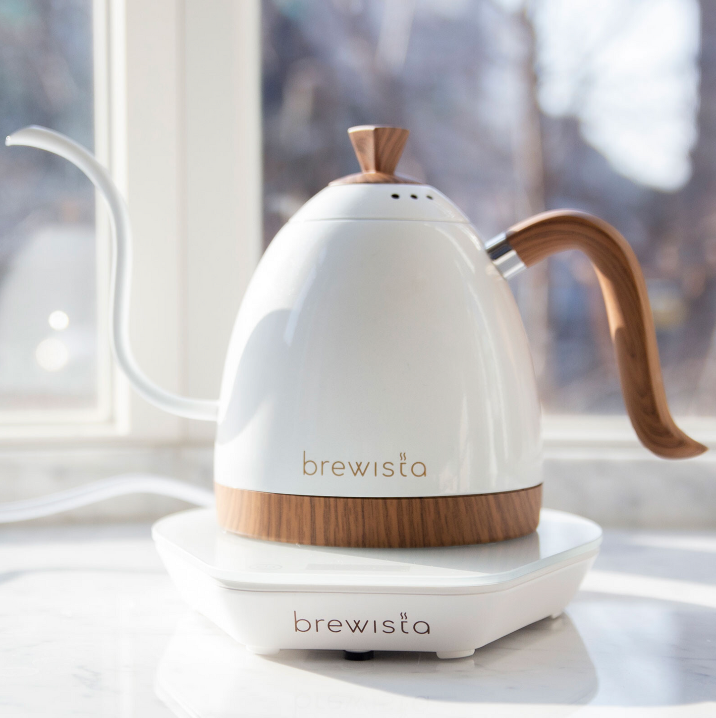 Brewista - Artisan Gooseneck Kettle 0.6L (120V)