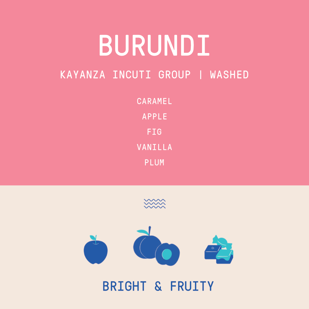 Burundi - Kayanza Incuti Group | Washed