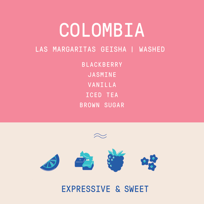 Colombia - Las Margaritas Geisha | Washed 100g