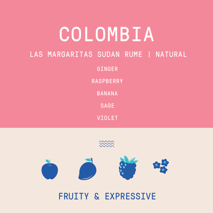 Colombia - Las Margaritas Sudan Rume | Natural 100g