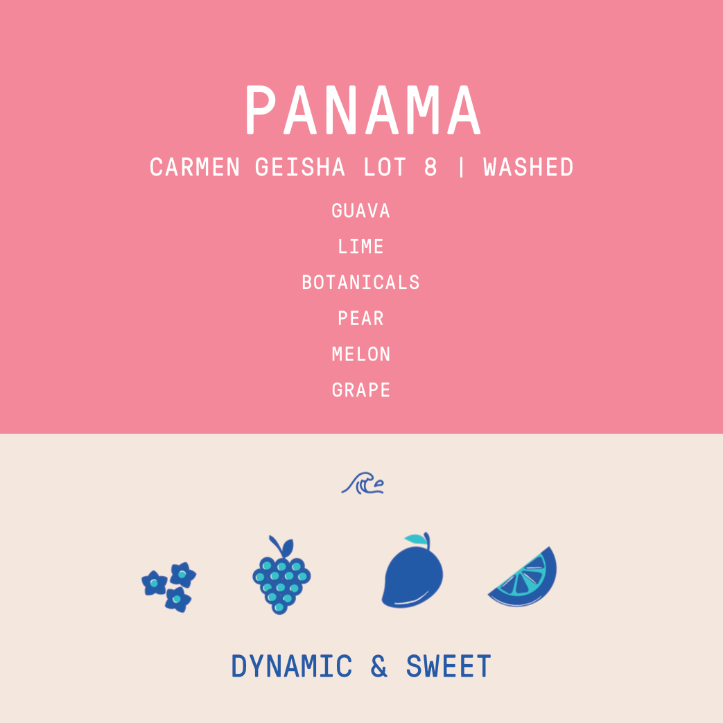Panama - Carmen Estate Geisha Lot 8 | Washed - 100g