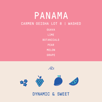Panama - Carmen Estate Geisha Lot 8 | Washed - 100g