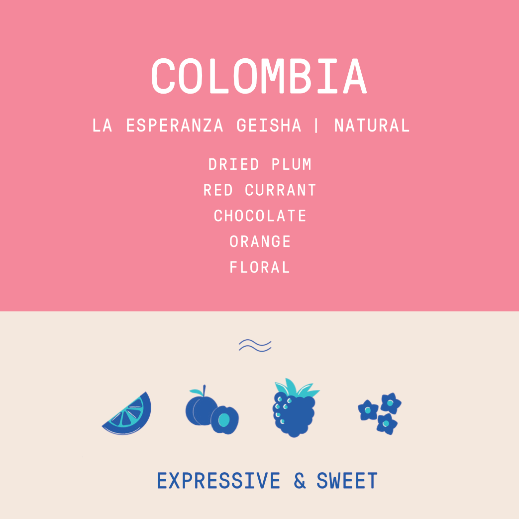 Colombia - La Esperanza Geisha | Natural - Archived – Rogue Wave Coffee