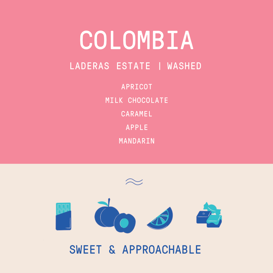 Colombia - Laderas del Tapias | Estate Lot Washed