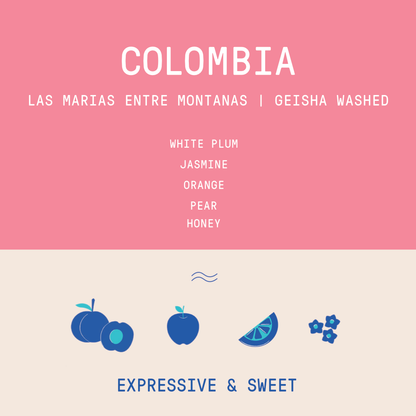 Colombia - Las Marias Entre Montanas Geisha | Washed 100g
