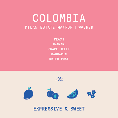 Colombia - Milan Estate Maypop |  Lychee Culturing Washed