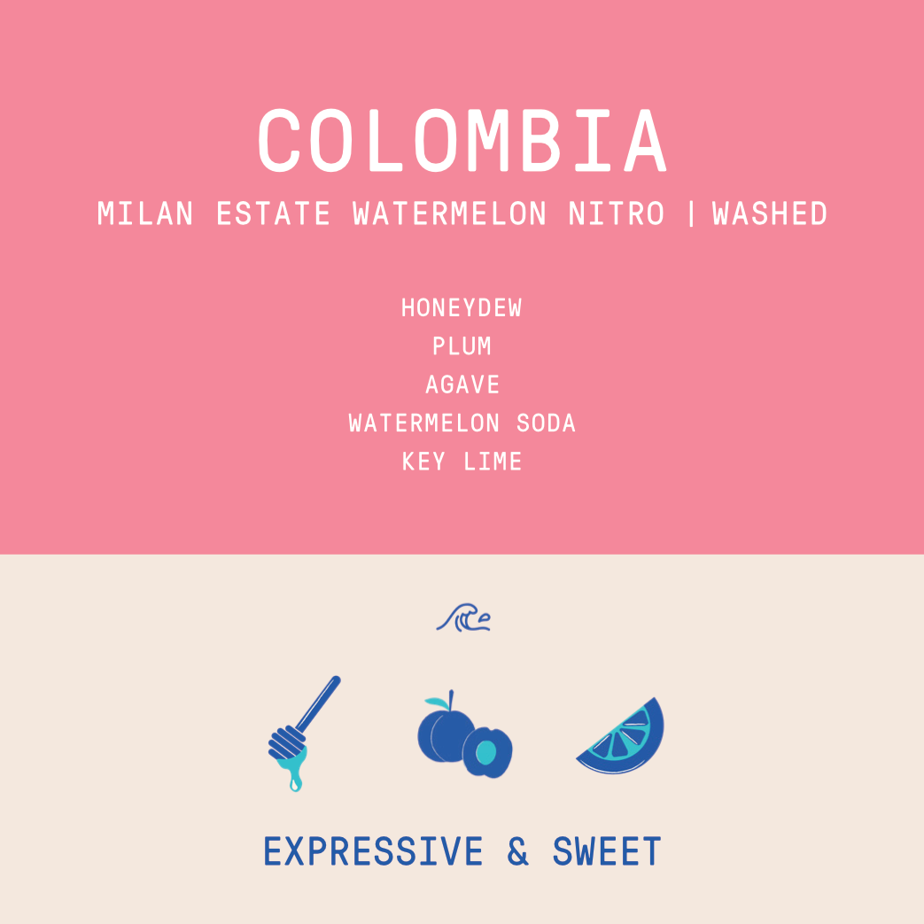 Colombia - Milan Estate Nitro |  Watermelon Culturing Washed