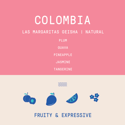 Colombia - Las Margaritas Geisha | Natural 100g
