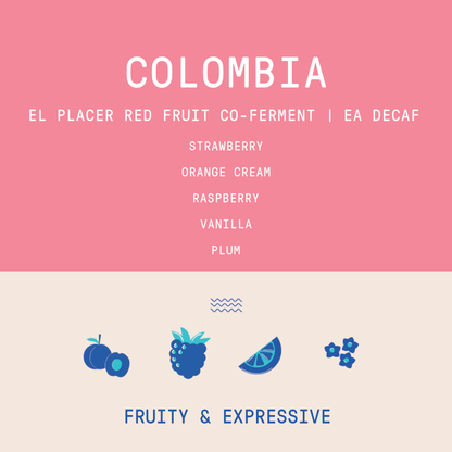 Colombia - El Placer | Red Fruit Co-Fermented EA Decaf