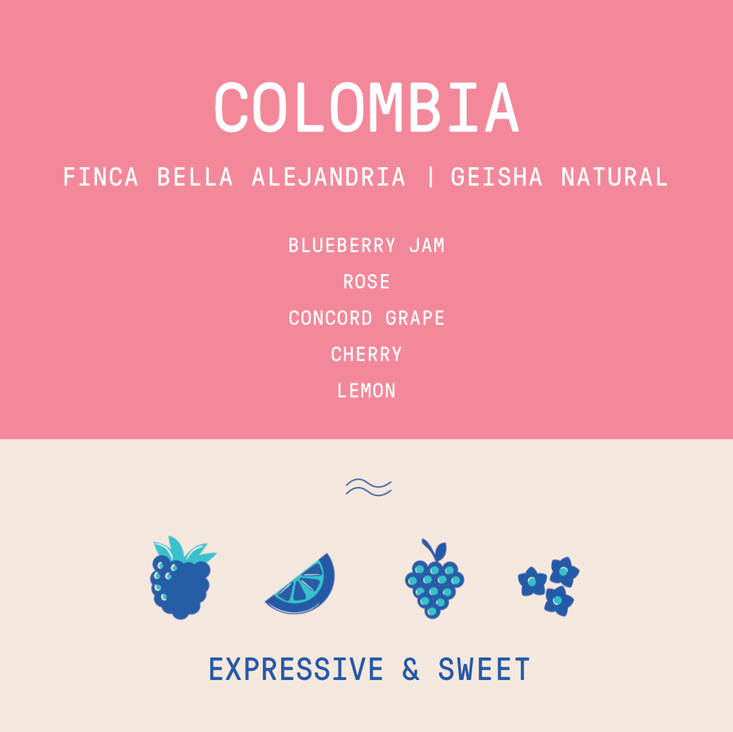 Colombia - Finca Bella Alejandria Wilder Lazo | Geisha Natural 300 hour