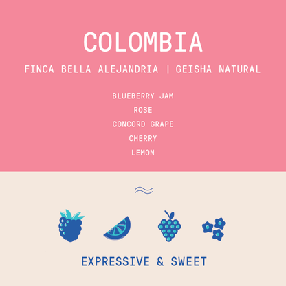 Colombia - Finca Bella Alejandria Wilder Lazo | Geisha Natural 300 hour
