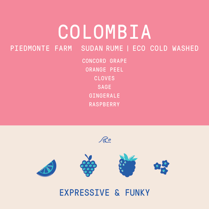 Colombia - Las Gaviotas Piedmonte Farm | Sudan Rume Eco Cold Washed 150g