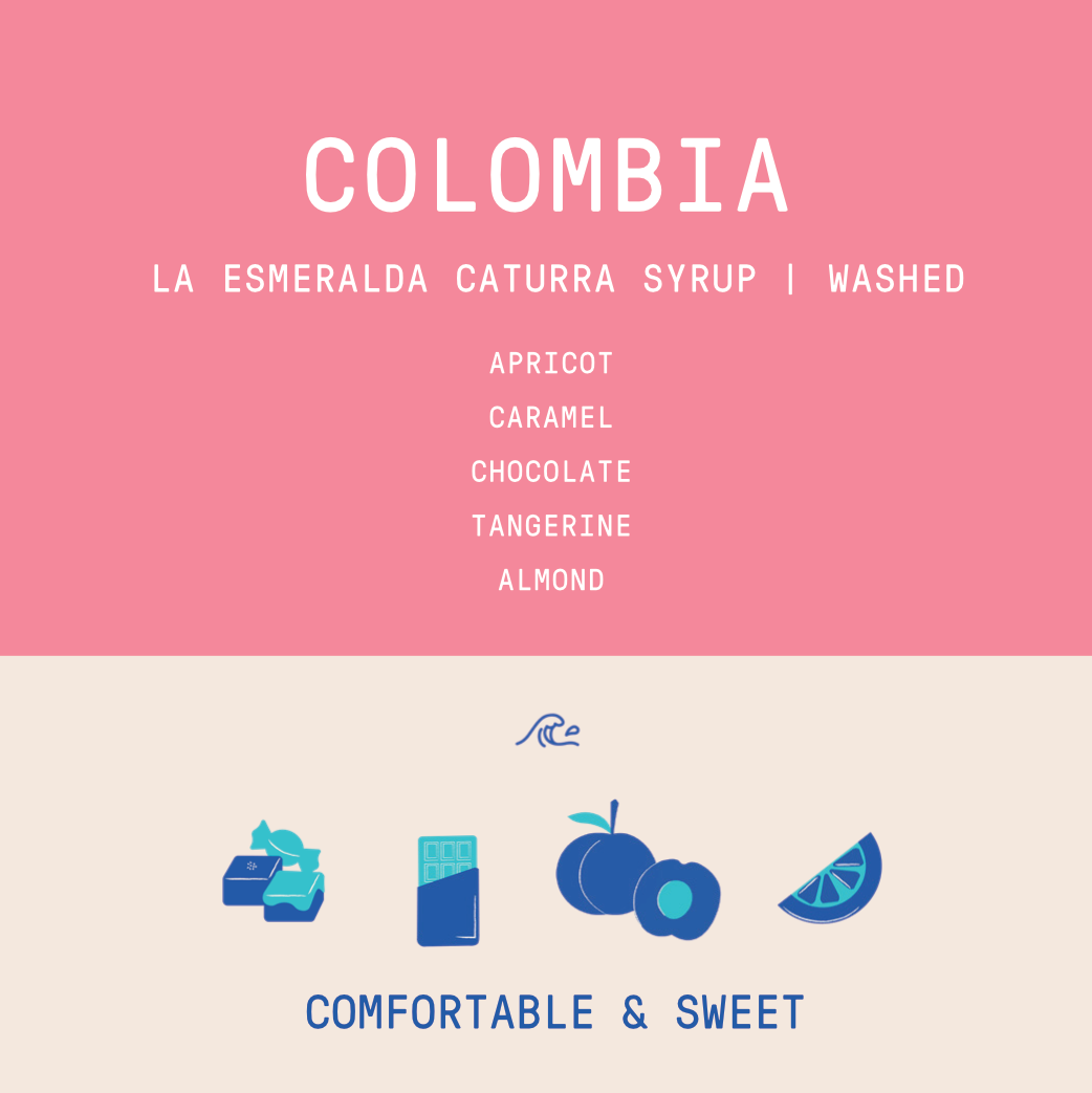 Colombia - La Esperanza Caturra Syrup | Washed