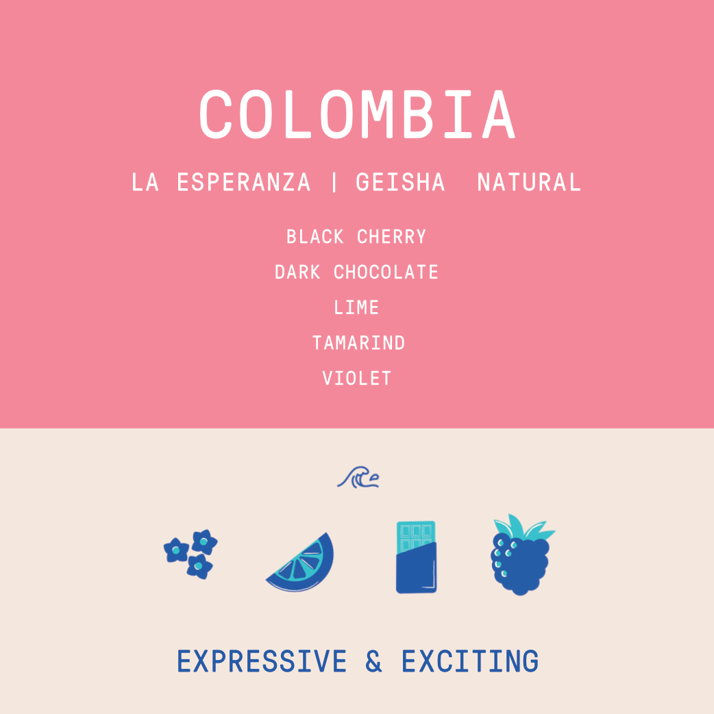 Colombia - La Esperanza | Geisha Natural - 100g