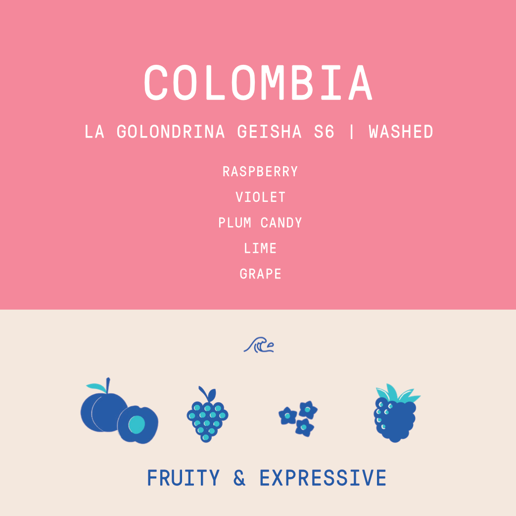 Colombia - La Golondrina Lot S6 Geisha | Fermented Washed