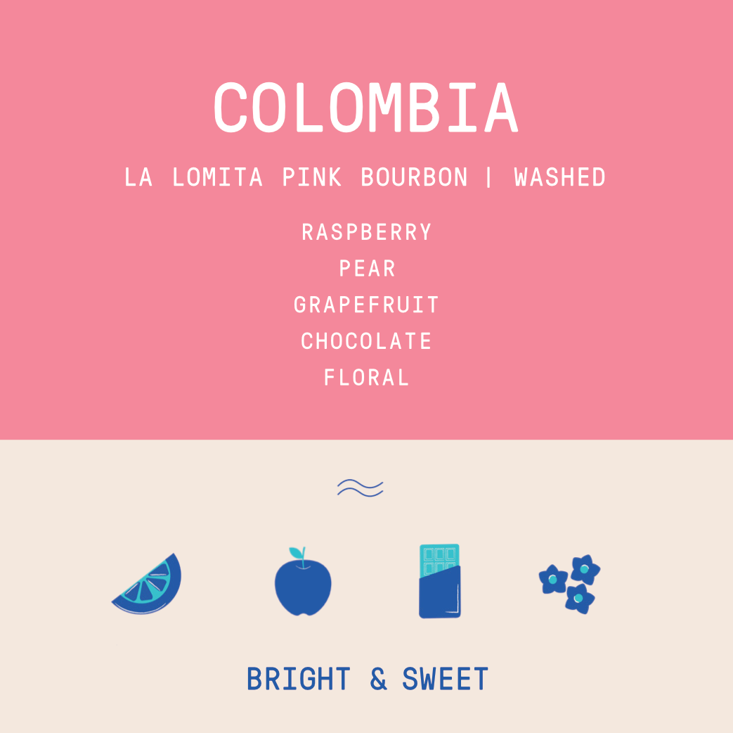 Colombia - La Lomita Eulises Guzman | Pink Bourbon Washed