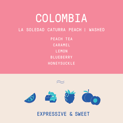 Colombia - La Soledad | Caturra Peach Washed
