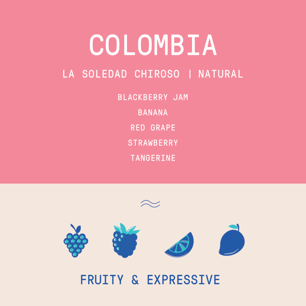 Colombia - La Soledad | Chiroso Natural