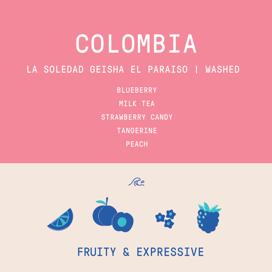 Colombia - La Soledad | El Paraiso Geisha Washed - Archived