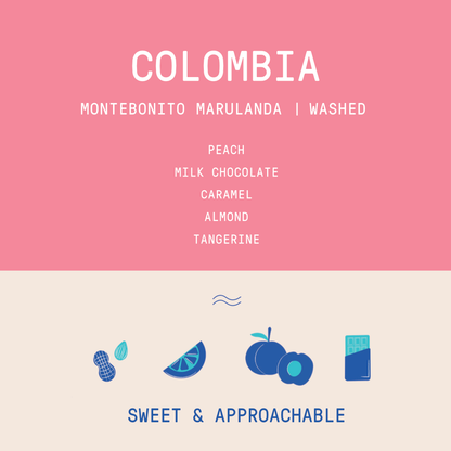 Colombia - Montebonito Marulanda | Washed