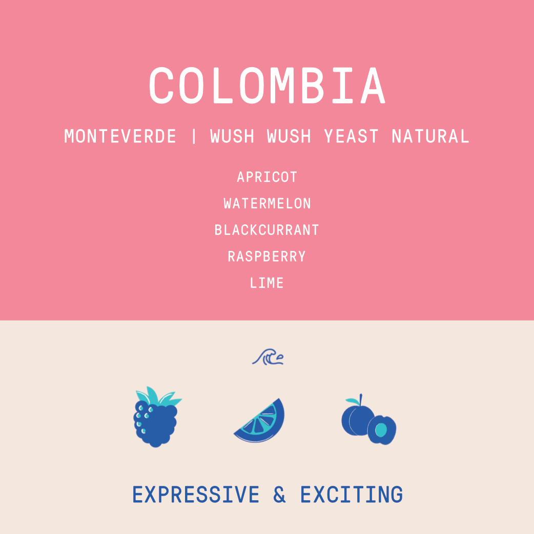 Colombia - Monteverde | Wush Wush Yeast Anaerobic Natural - Archived