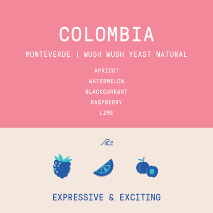 Colombia - Monteverde | Wush Wush Yeast Anaerobic Natural - Archived