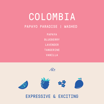 Colombia - María Belén Díaz  | Papayo Paradise Washed