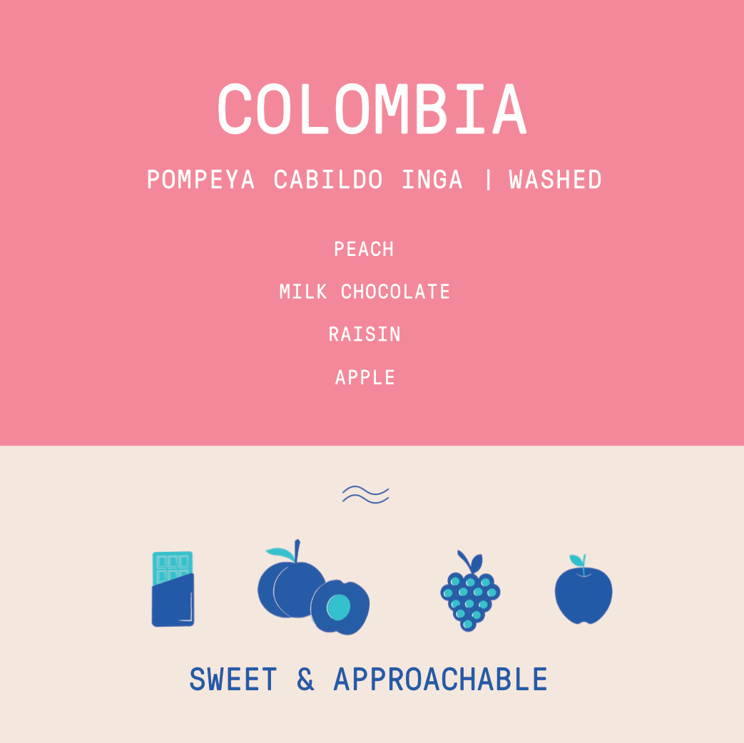 Colombia - Pompeya Cabildo Inga | Regional Lot Washed