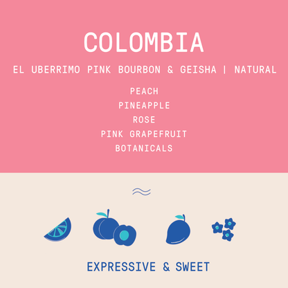 Colombia - Finca El Uberrimo Pink Bourbon / Geisha | Natural