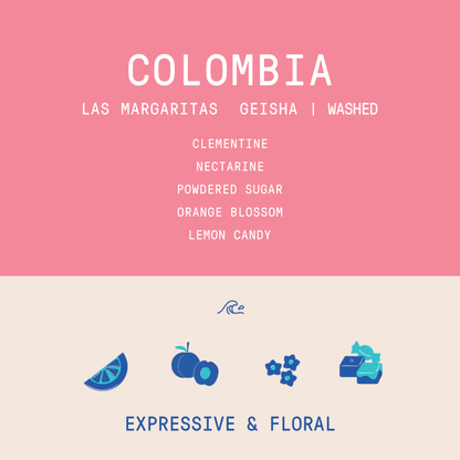 Colombia - Las Margaritas  Geisha | Washed - 100g - Archived