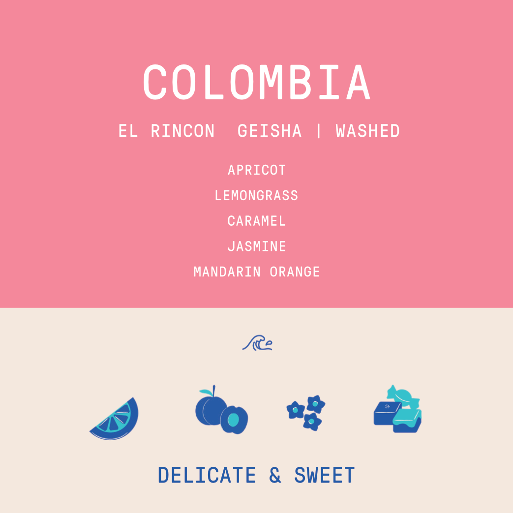 Colombia - El Rincon Diego Horta | Geisha Washed - 200g