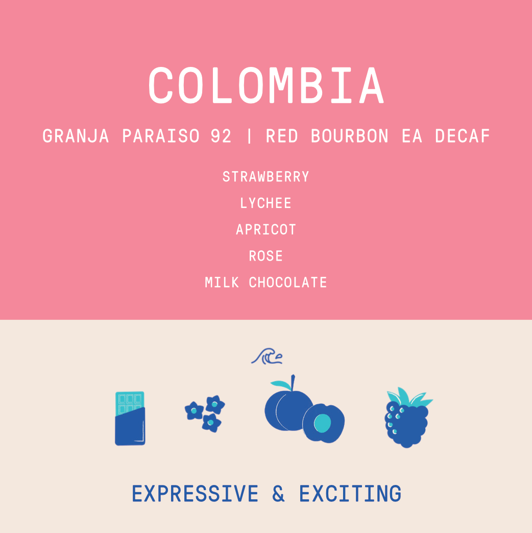 Colombia - Granja Paraiso 92 | Natural EA DECAF Red Bourbon