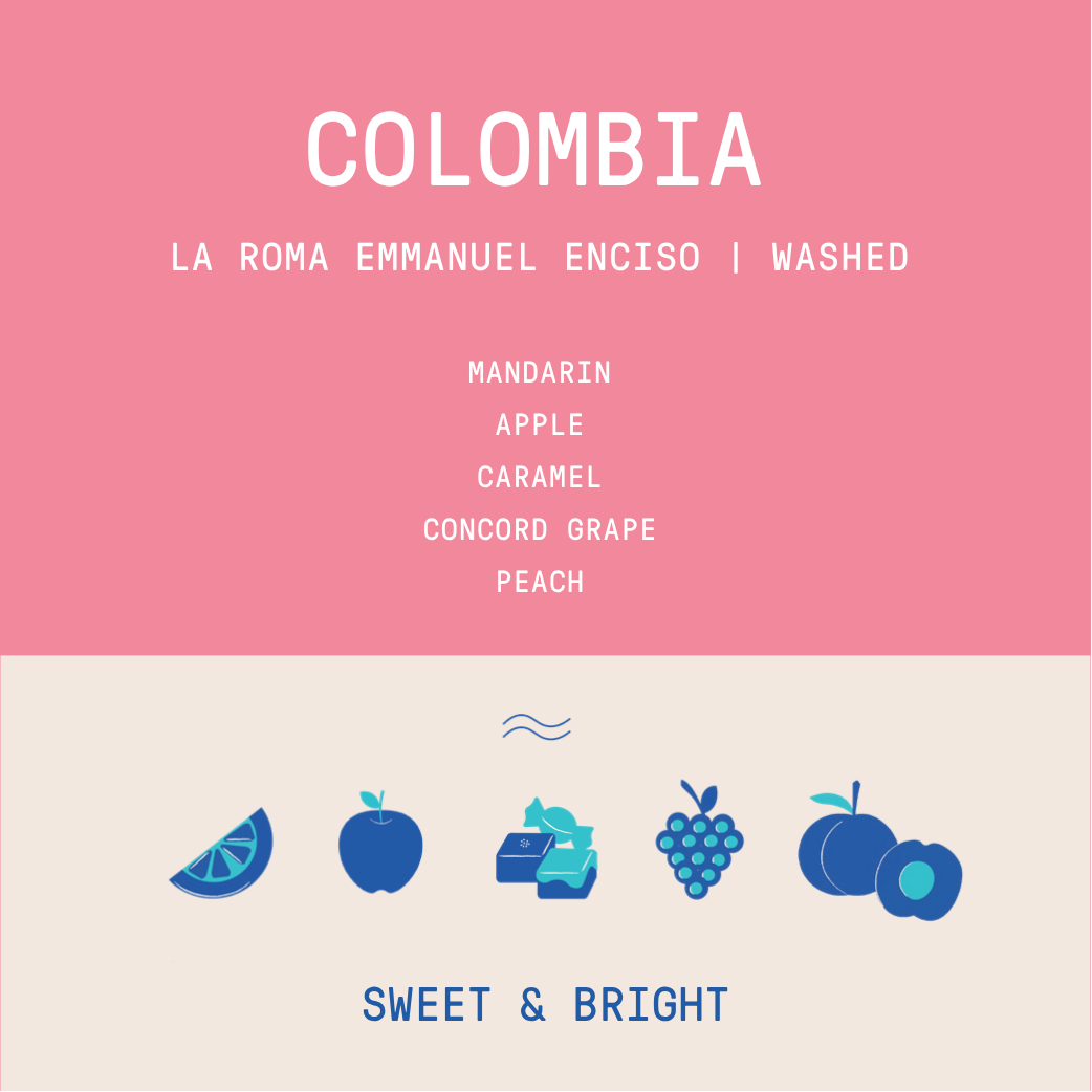 Colombia - La Roma Emmanuel Enciso | Washed