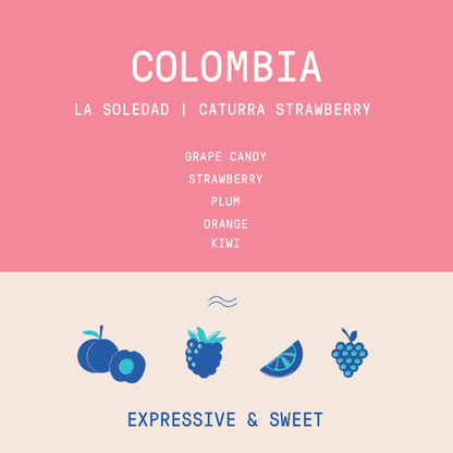 Colombia - La Soledad | Caturra Strawberry Washed