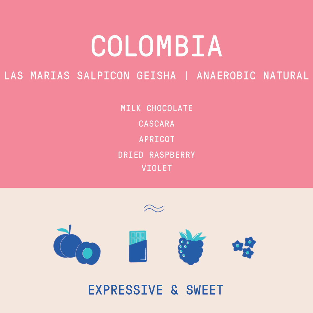 Colombia - Las Marias Salpicon Geisha | 96 hour Anaerobic Natural - 100g 2026