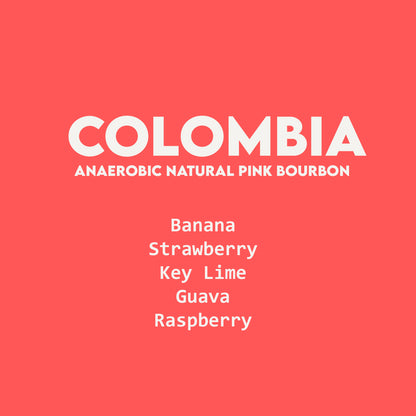 Colombia - La Soledad  | Anaerobic Natural Pink Bourbon - 250g