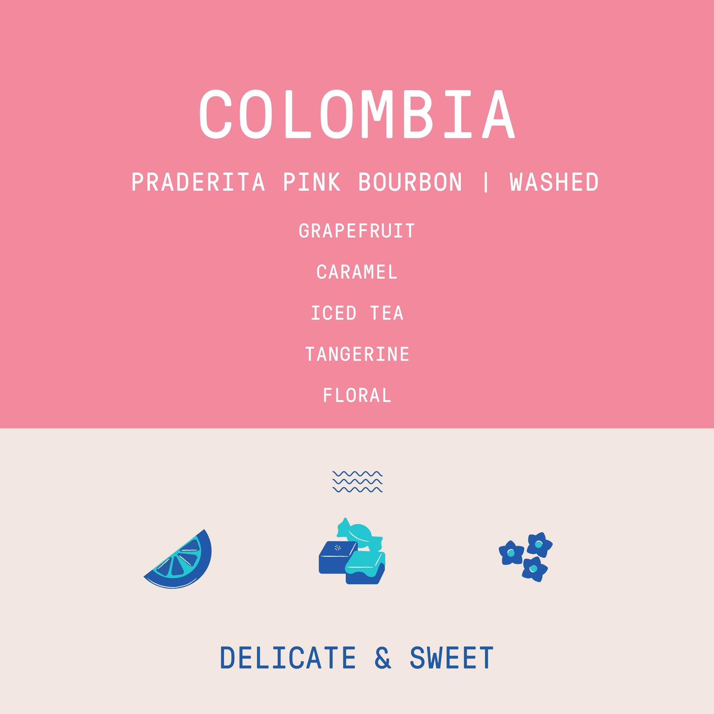 Colombia - Praderita | Pink Bourbon Washed - Archived