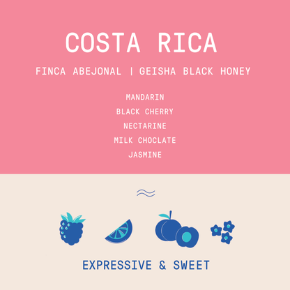 Costa Rica - Finca Abejonal Geisha | Black Honey