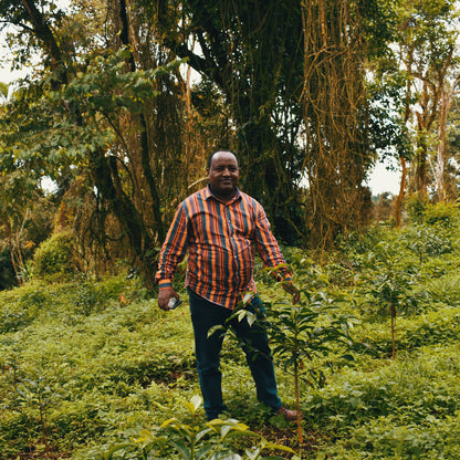 Ethiopia - Dinkalem Ademe Zema | Natural