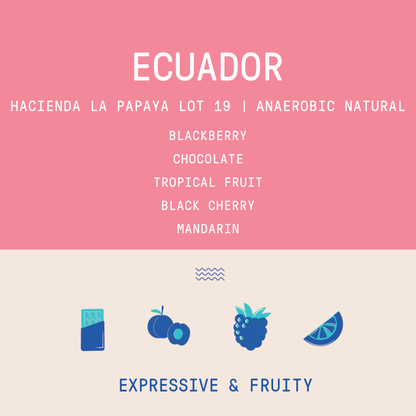 Ecuador - Hacienda La Papaya Typica Mejorado Lot 19 | 120hr Anaerobic Natural