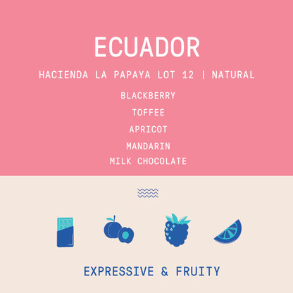 Ecuador - Hacienda La Papaya Typica Mejorado Lot 12 | Natural