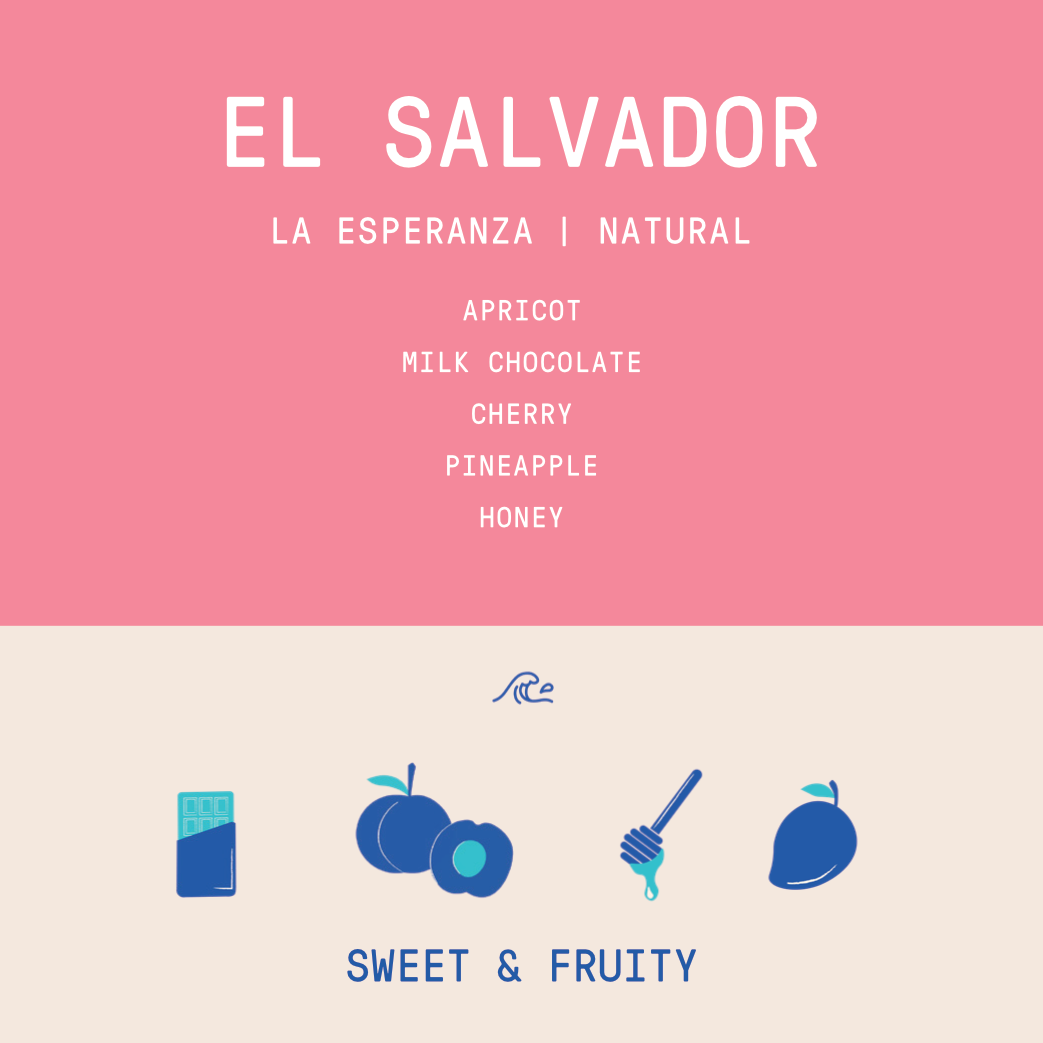 El Salvador - La Esperanza Belismelis-Alvarez family | Natural