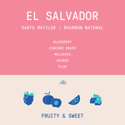 El Salvador - Santa Matilde | Bourbon Natural