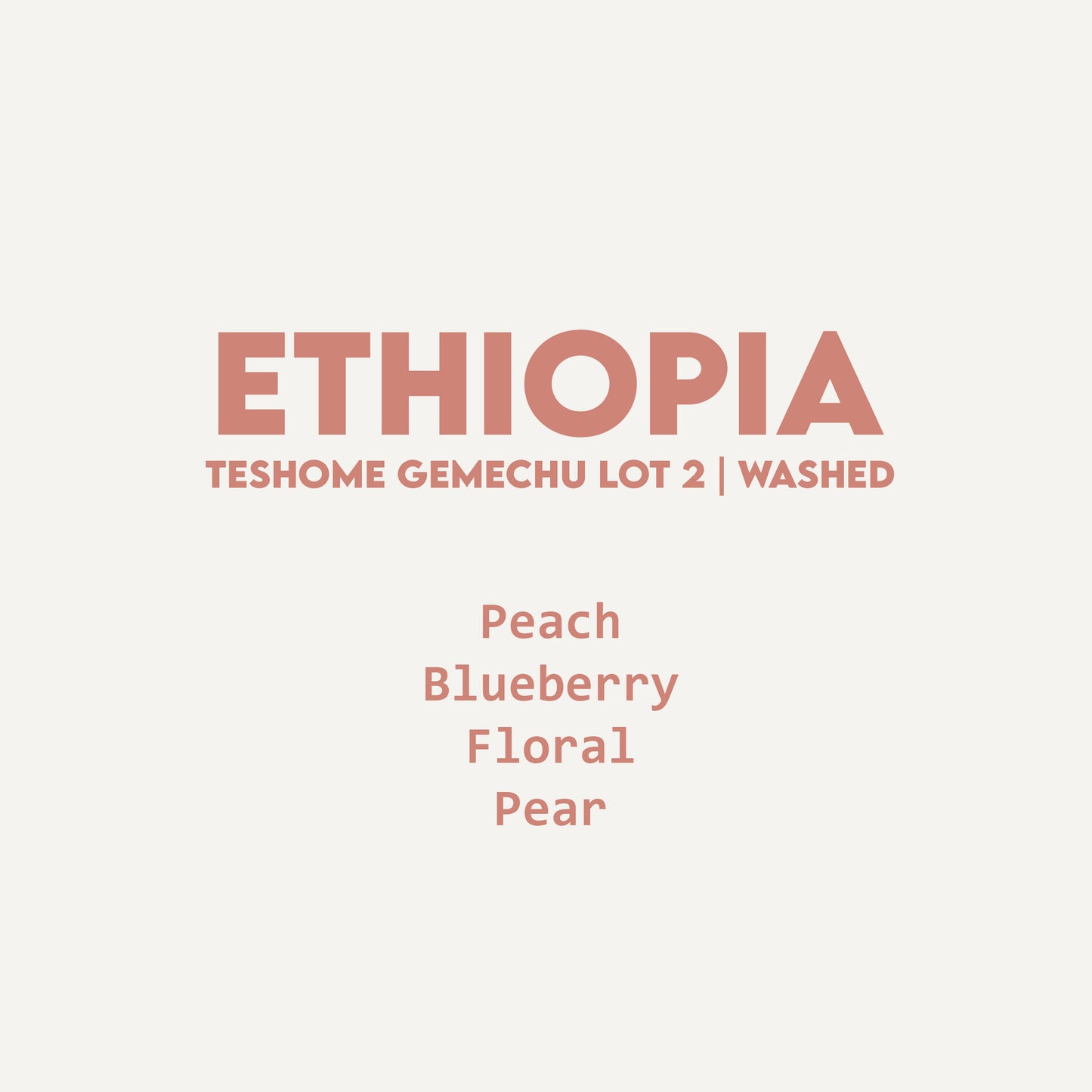 Ethiopia - Teshome Gemechu  Lot 2 | Washed